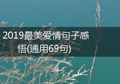2019最美爱情句子感悟(通用69句)