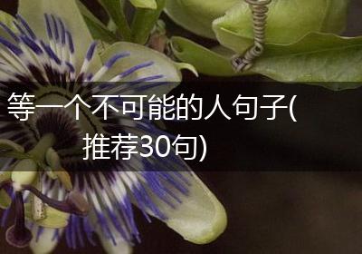 等一个不可能的人句子(推荐30句)