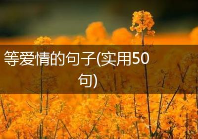 等爱情的句子(实用50句)