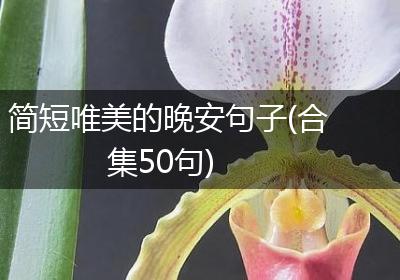 简短唯美的晚安句子(合集50句)