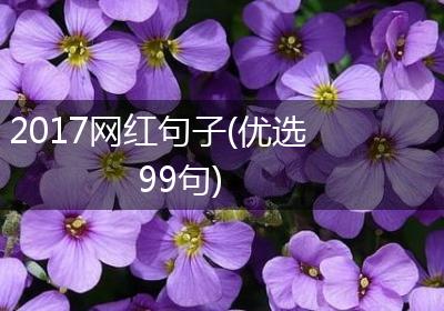 2017网红句子(优选99句)