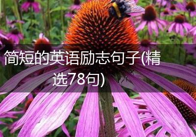 简短的英语励志句子(精选78句)