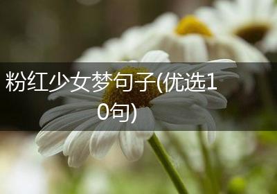 粉红少女梦句子(优选10句)