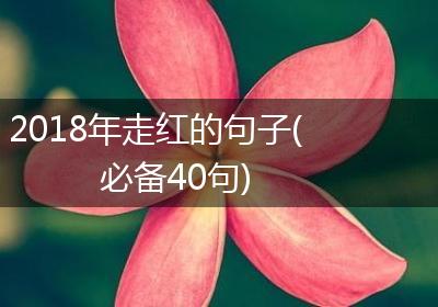 2018年走红的句子(必备40句)
