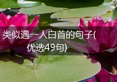 类似遇一人白首的句子(优选49句)