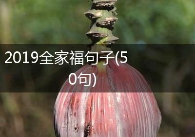 2019全家福句子(50句)