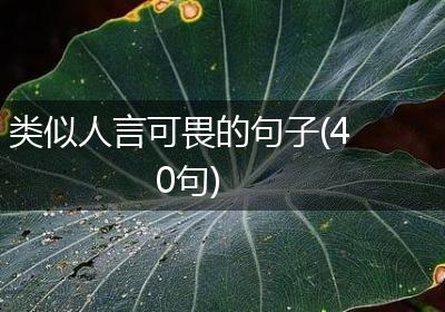 类似人言可畏的句子(40句)