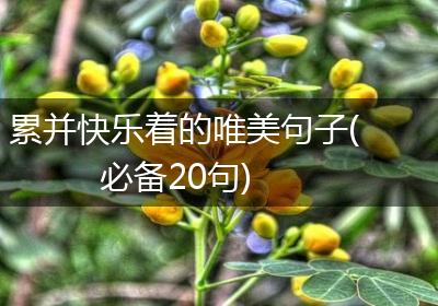 累并快乐着的唯美句子(必备20句)