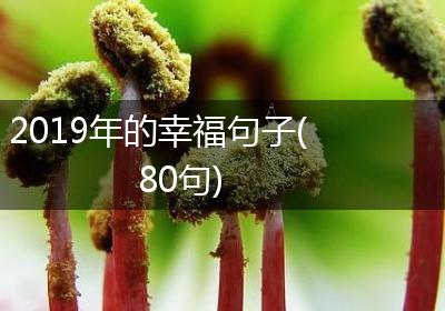 2019年的幸福句子(80句)