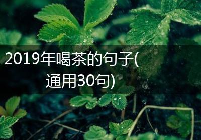 2019年喝茶的句子(通用30句)