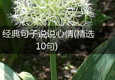 经典句子说说心情(精选10句)