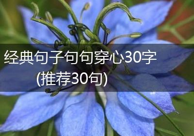 经典句子句句穿心30字(推荐30句)