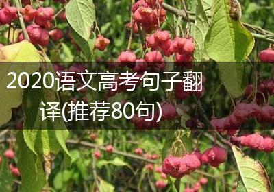 2020语文高考句子翻译(推荐80句)