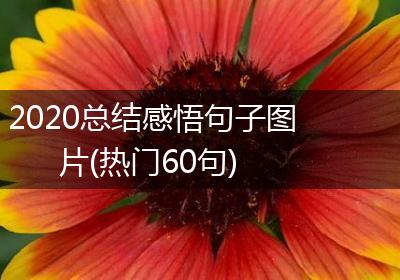 2020总结感悟句子图片(热门60句)