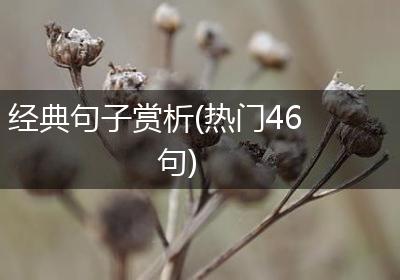 经典句子赏析(热门46句)