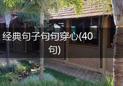 经典句子句句穿心(40句)