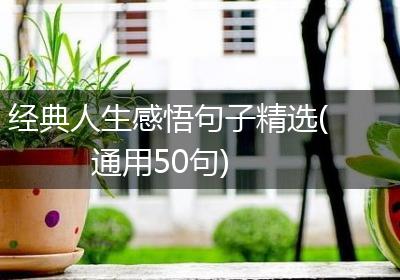 经典人生感悟句子精选(通用50句)