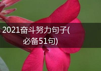 2021奋斗努力句子(必备51句)