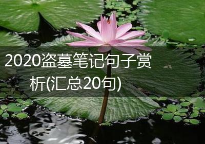2020盗墓笔记句子赏析(汇总20句)