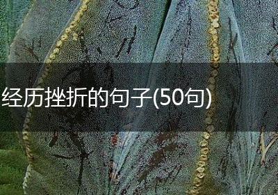 经历挫折的句子(50句)