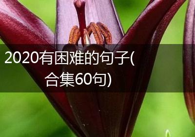 2020有困难的句子(合集60句)