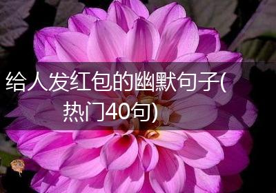 给人发红包的幽默句子(热门40句)