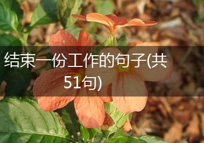 结束一份工作的句子(共51句)