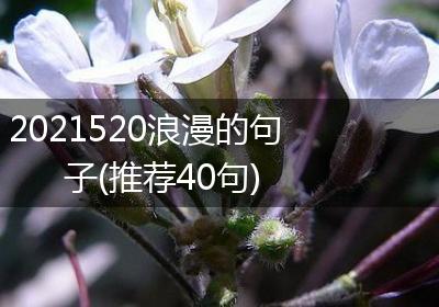 2021520浪漫的句子(推荐40句)