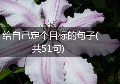 给自己定个目标的句子(共51句)