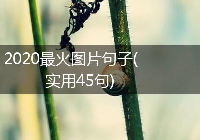 2020最火图片句子(实用45句)