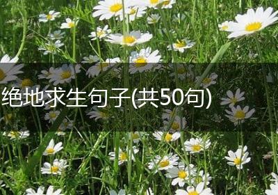 绝地求生句子(共50句)