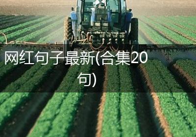 网红句子最新(合集20句)