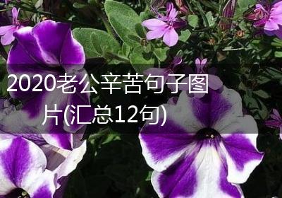 2020老公辛苦句子图片(汇总12句)