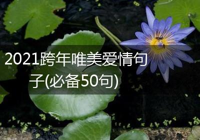 2021跨年唯美爱情句子(必备50句)