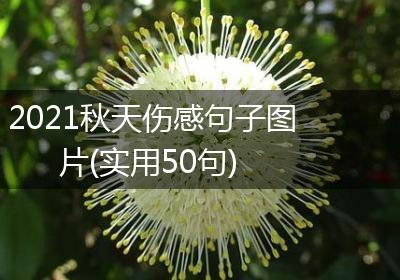 2021秋天伤感句子图片(实用50句)