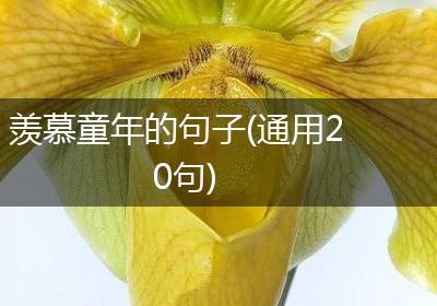 羡慕童年的句子(通用20句)
