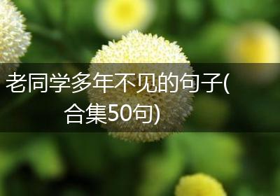 老同学多年不见的句子(合集50句)