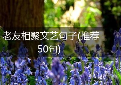 老友相聚文艺句子(推荐50句)
