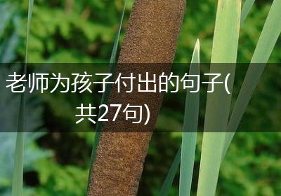 老师为孩子付出的句子(共27句)