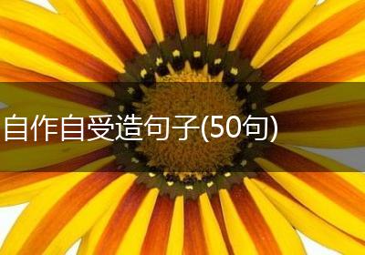 自作自受造句子(50句)