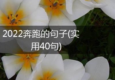 2022奔跑的句子(实用40句)