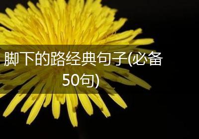脚下的路经典句子(必备50句)