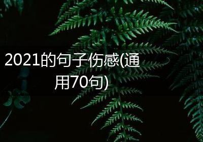 2021的句子伤感(通用70句)