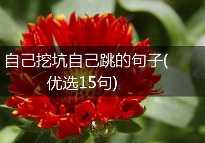 自己挖坑自己跳的句子(优选15句)