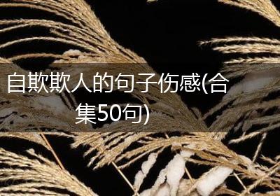 自欺欺人的句子伤感(合集50句)