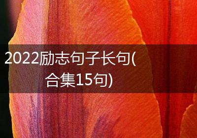 2022励志句子长句(合集15句)