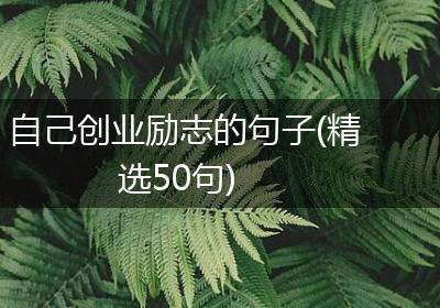 自己创业励志的句子(精选50句)