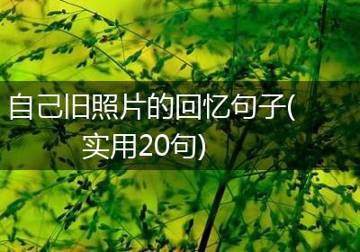 自己旧照片的回忆句子(实用20句)