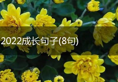 2022成长句子(8句)