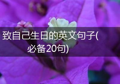 致自己生日的英文句子(必备20句)